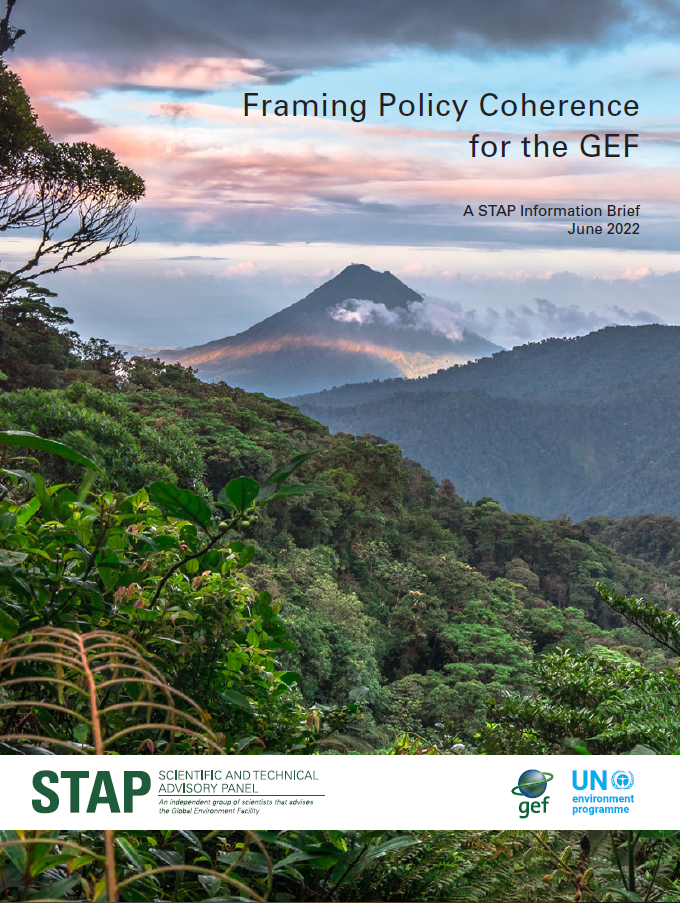 Framing policy coherence for the GEF